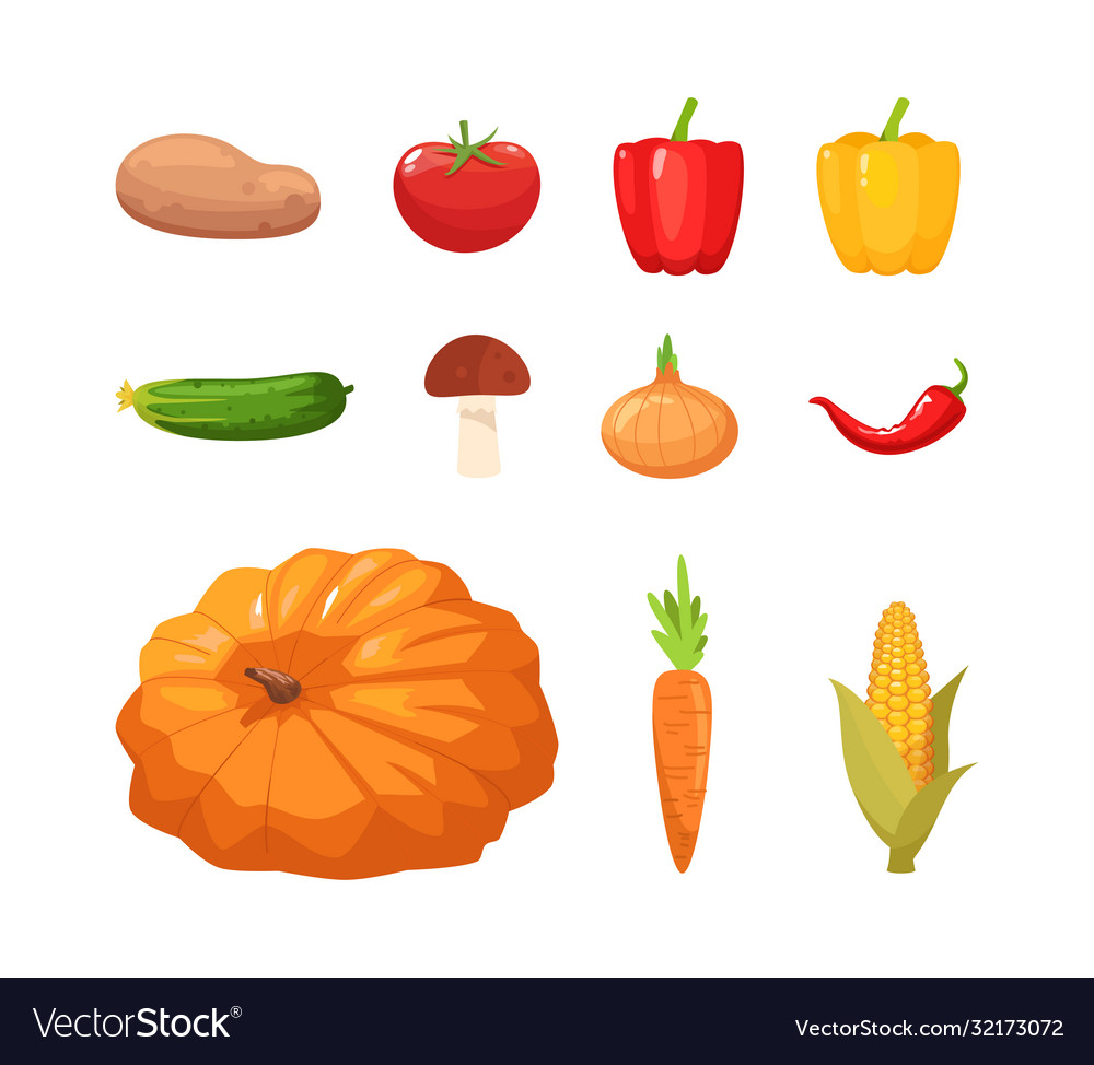 Different autumnal vegetables semi flat rgb color