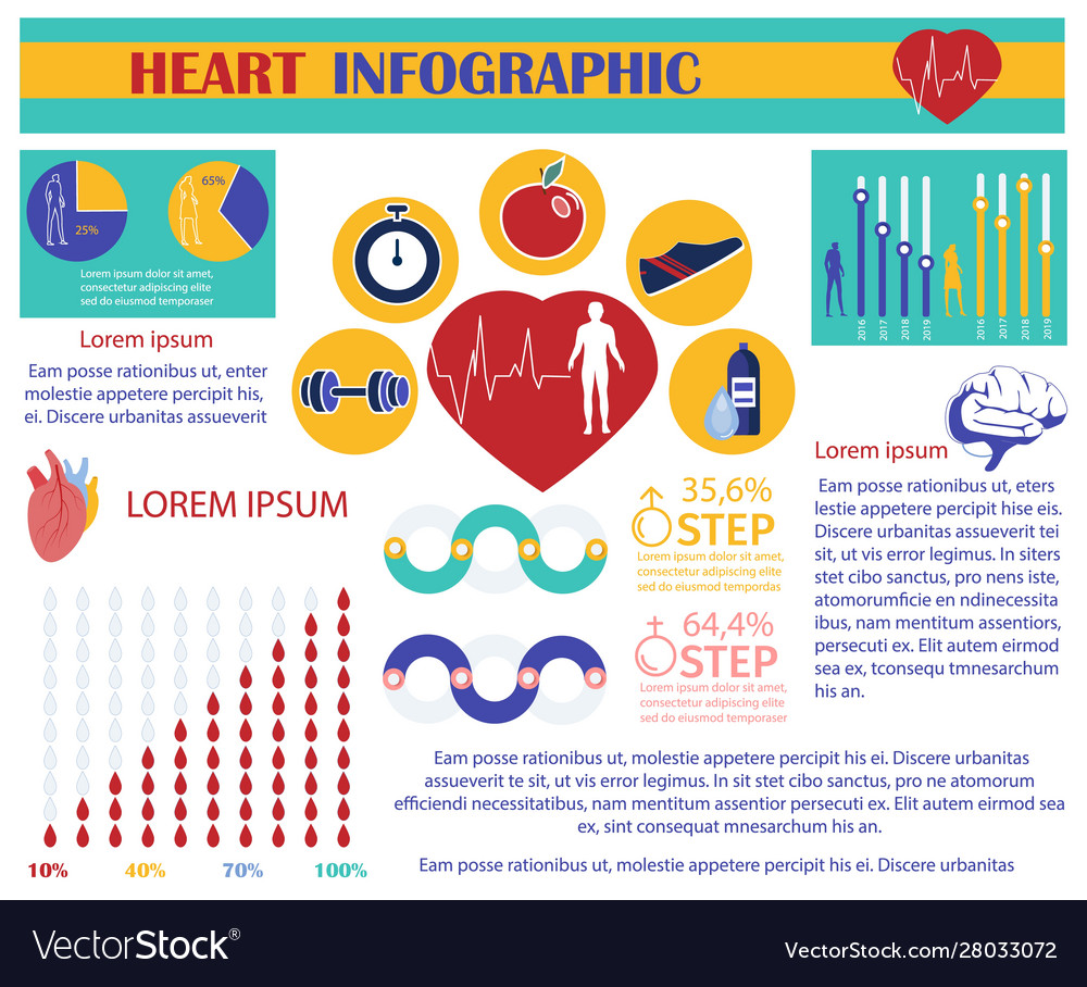 Human heart infographic factors influence health Vector Image