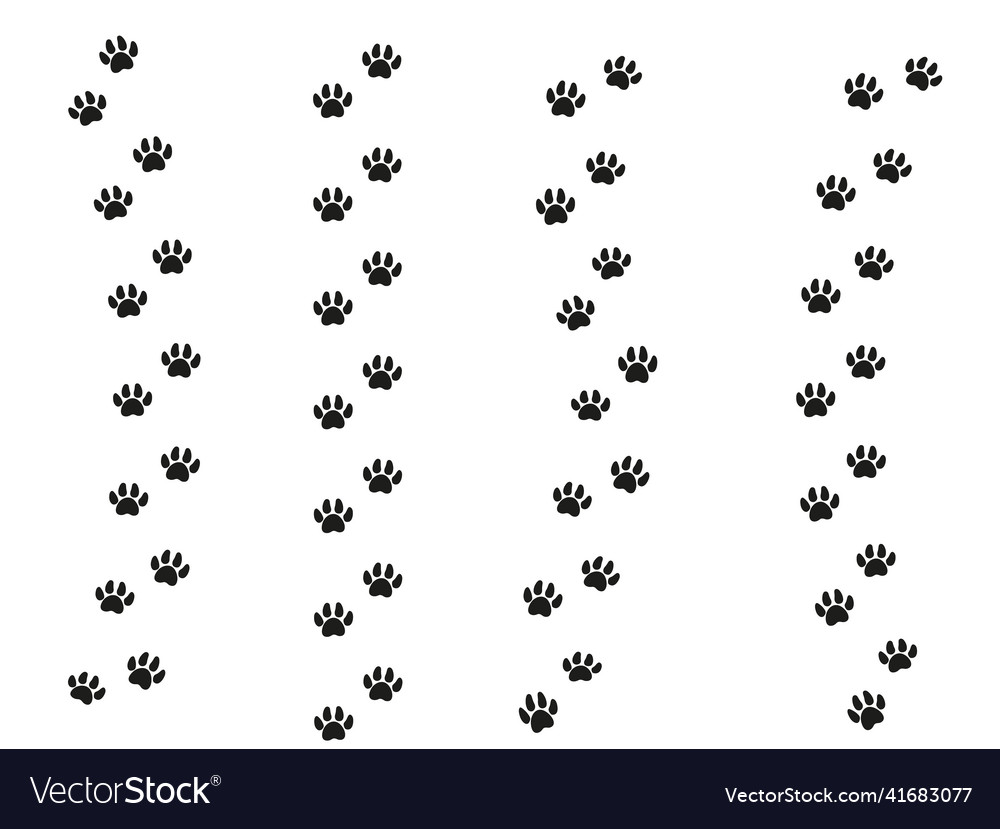 Cat Feet Tracks Animals Paws And Sillhouetts Vector Image