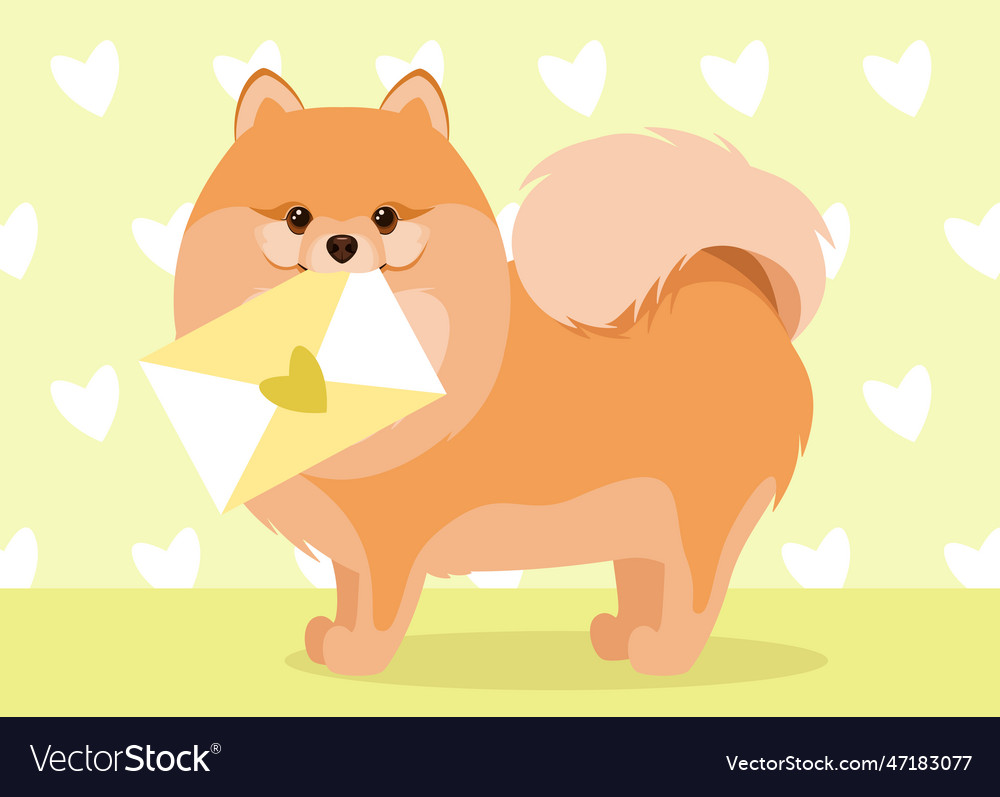 cute-pomeranian-dog-royalty-free-vector-image-vectorstock