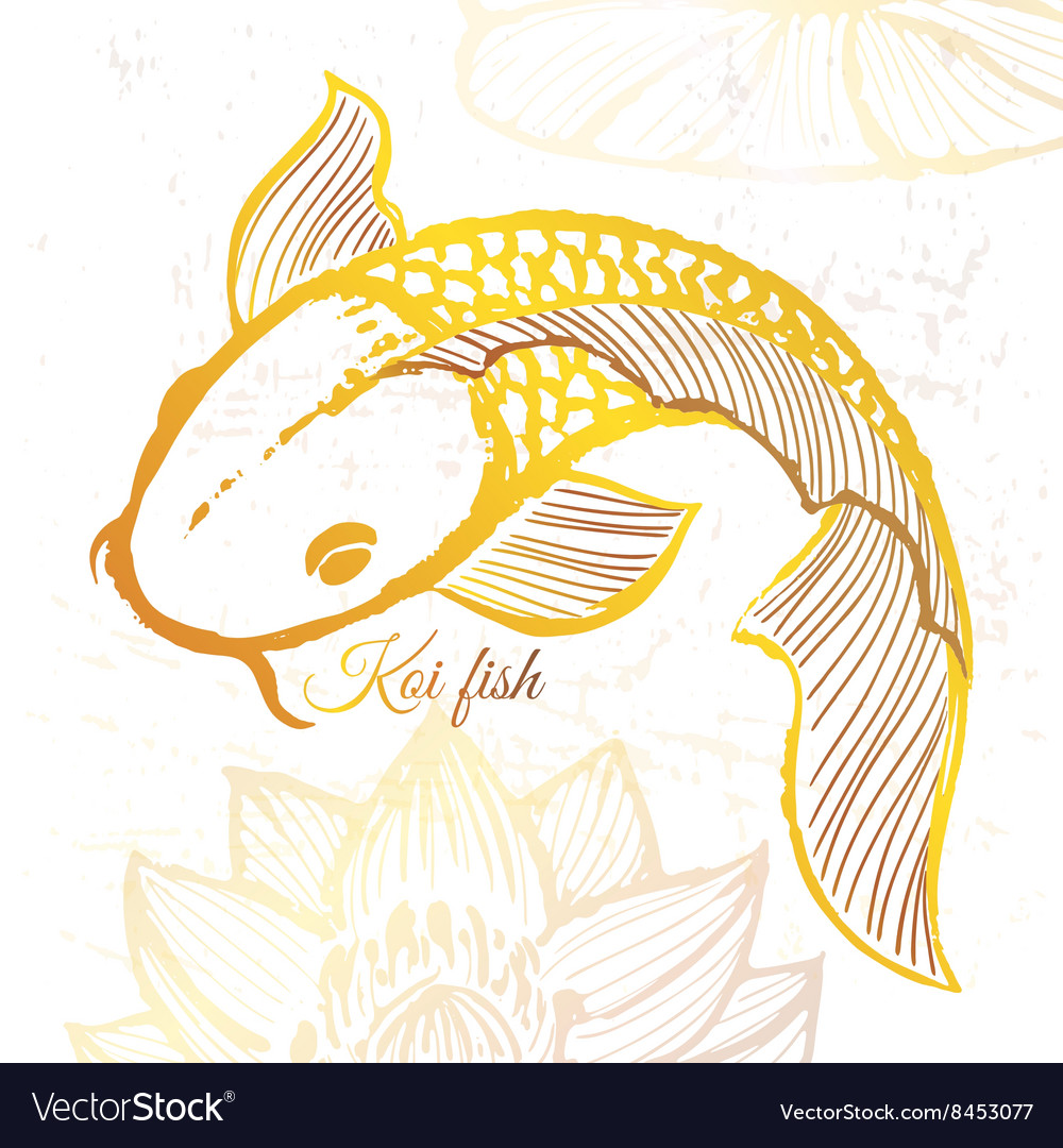 Ink hand drawn golden koi fish Royalty Free Vector Image