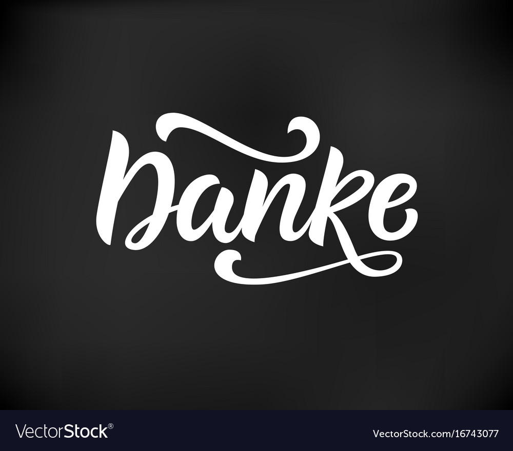 Thank you in german hand written lettering Vector Image