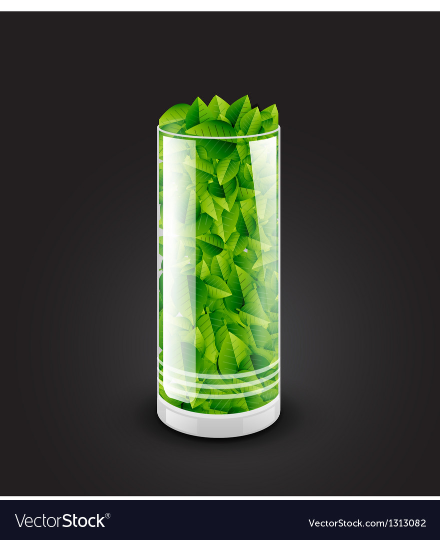 Empty transparent glass cylinder with leaves