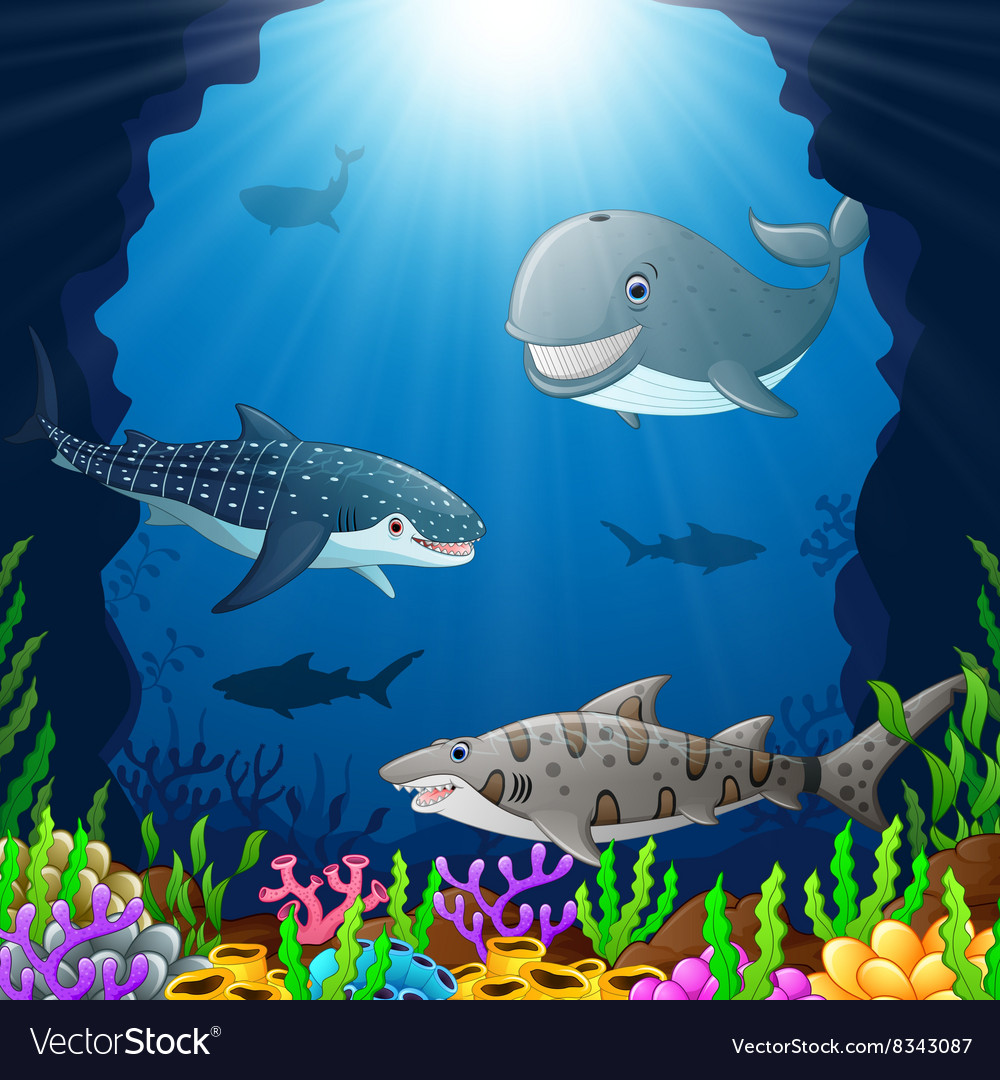 Cartoon Whale Under Sea Royalty Free Vector Image