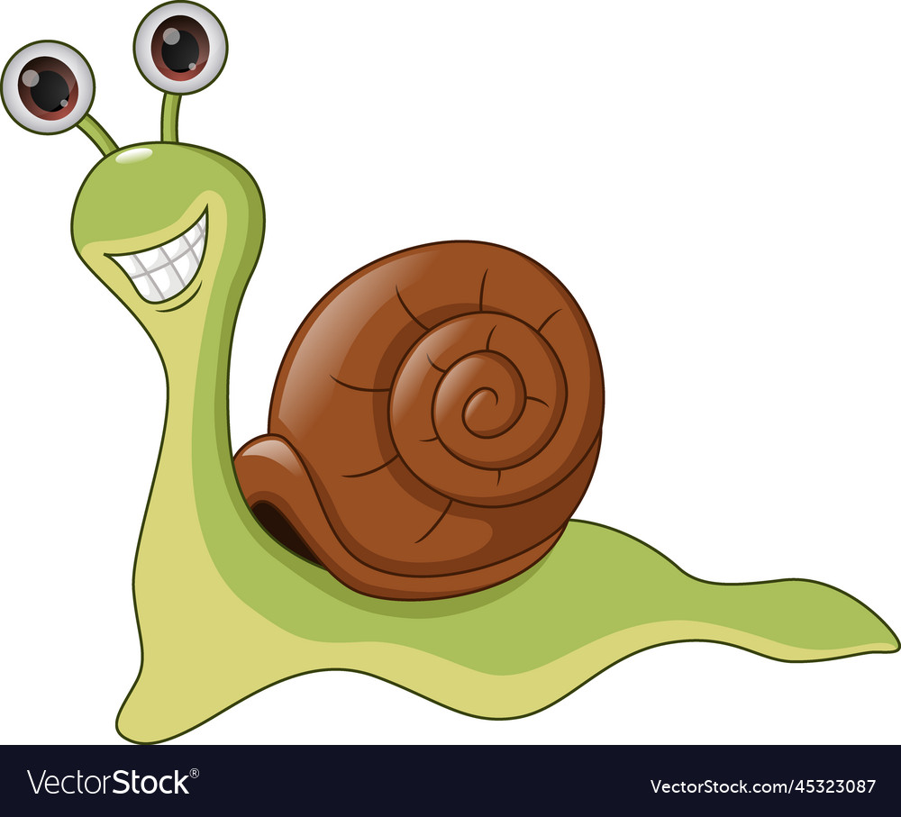 Cute Snail Cartoon On White Background Royalty Free Vector