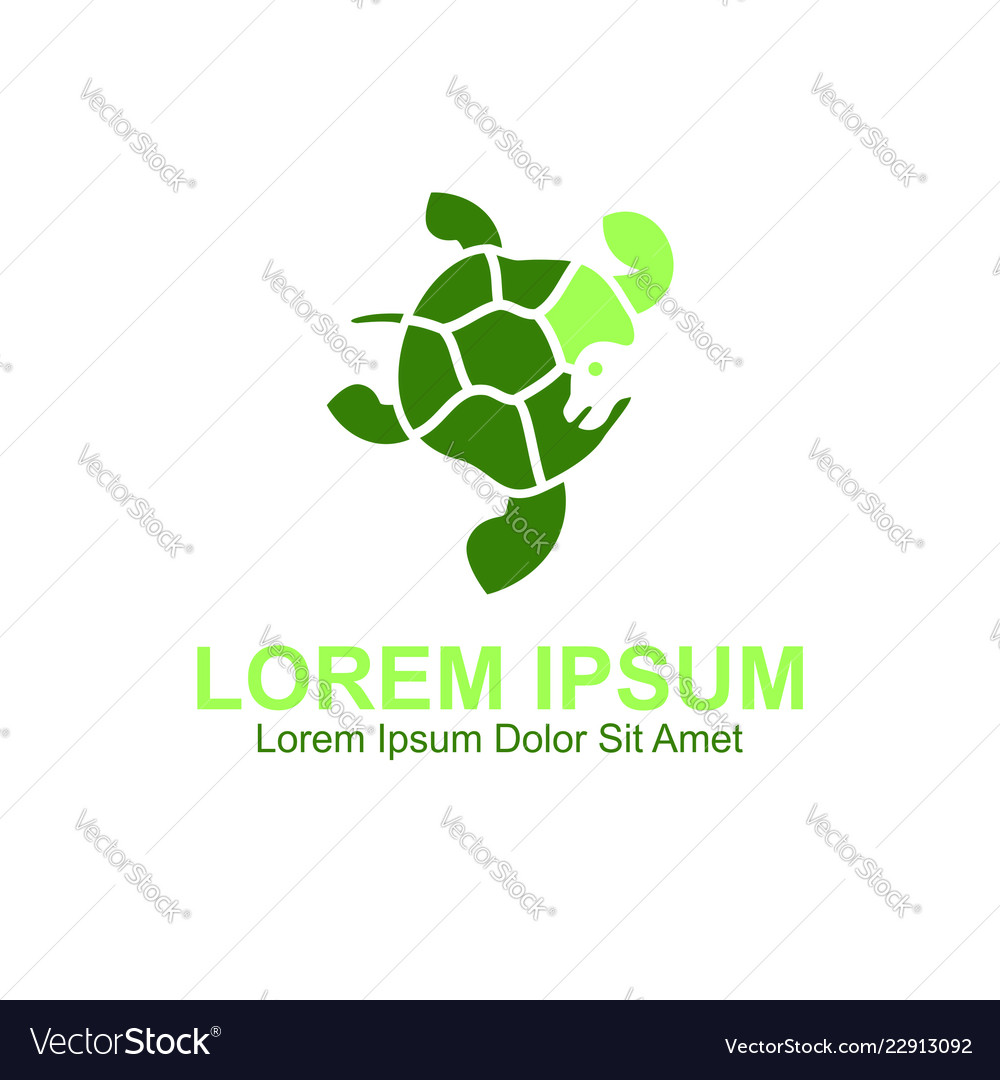 Turle logo Royalty Free Vector Image - VectorStock