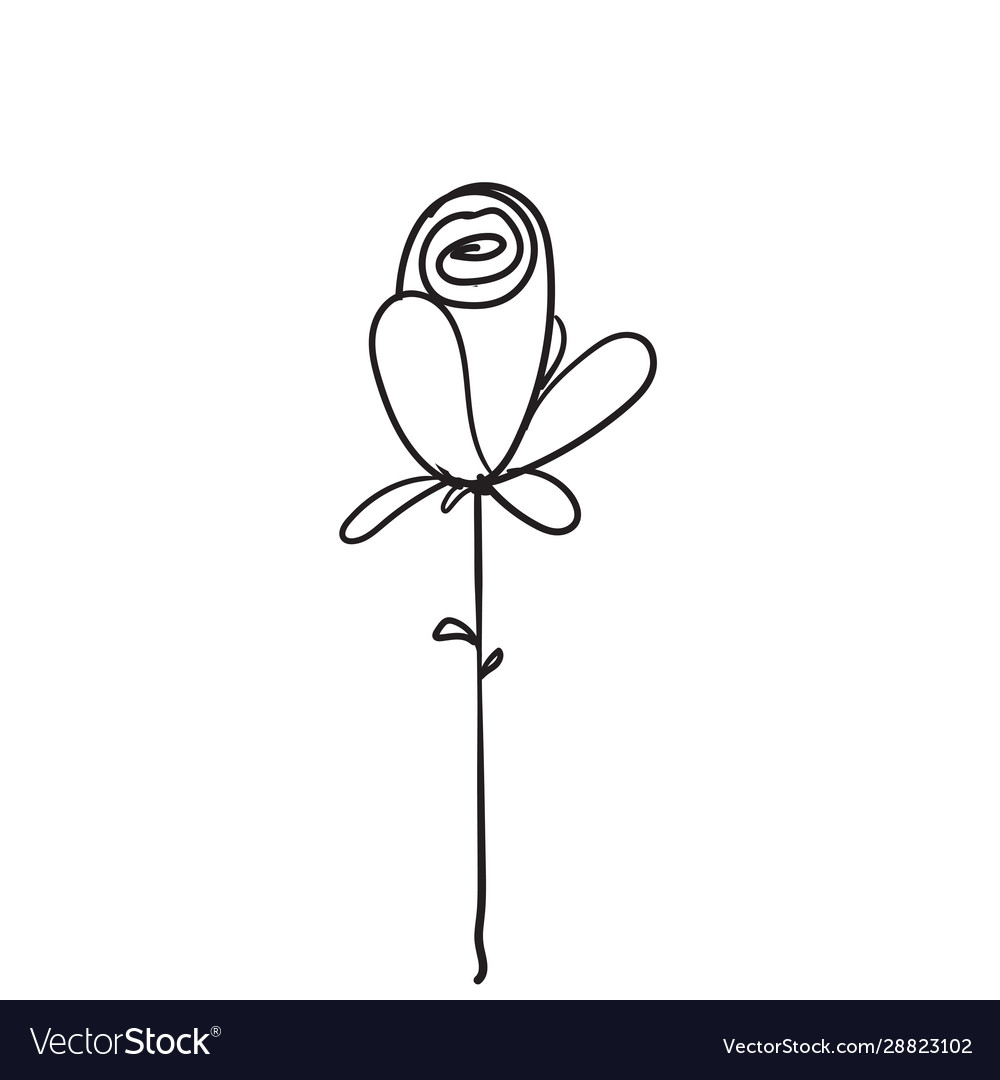 Doodle rose isolated on white Royalty Free Vector Image