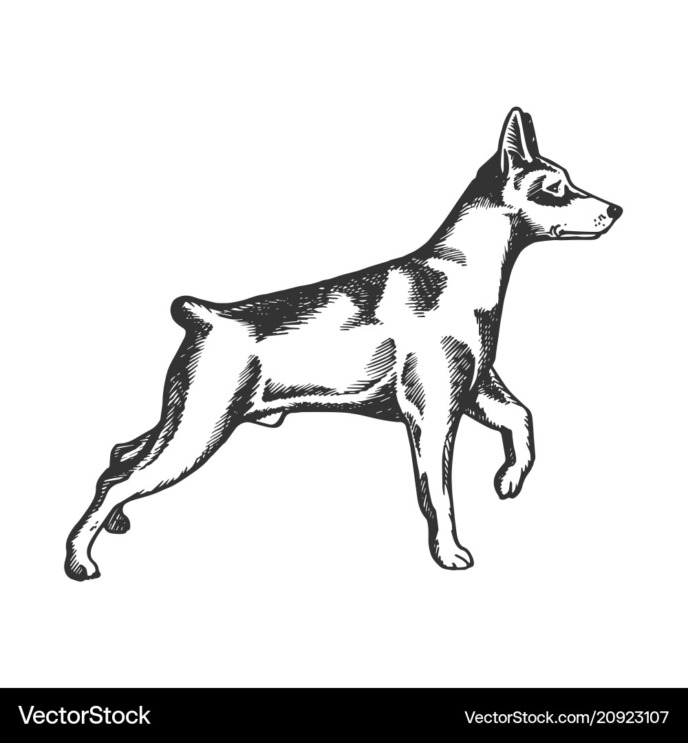 dog engraving