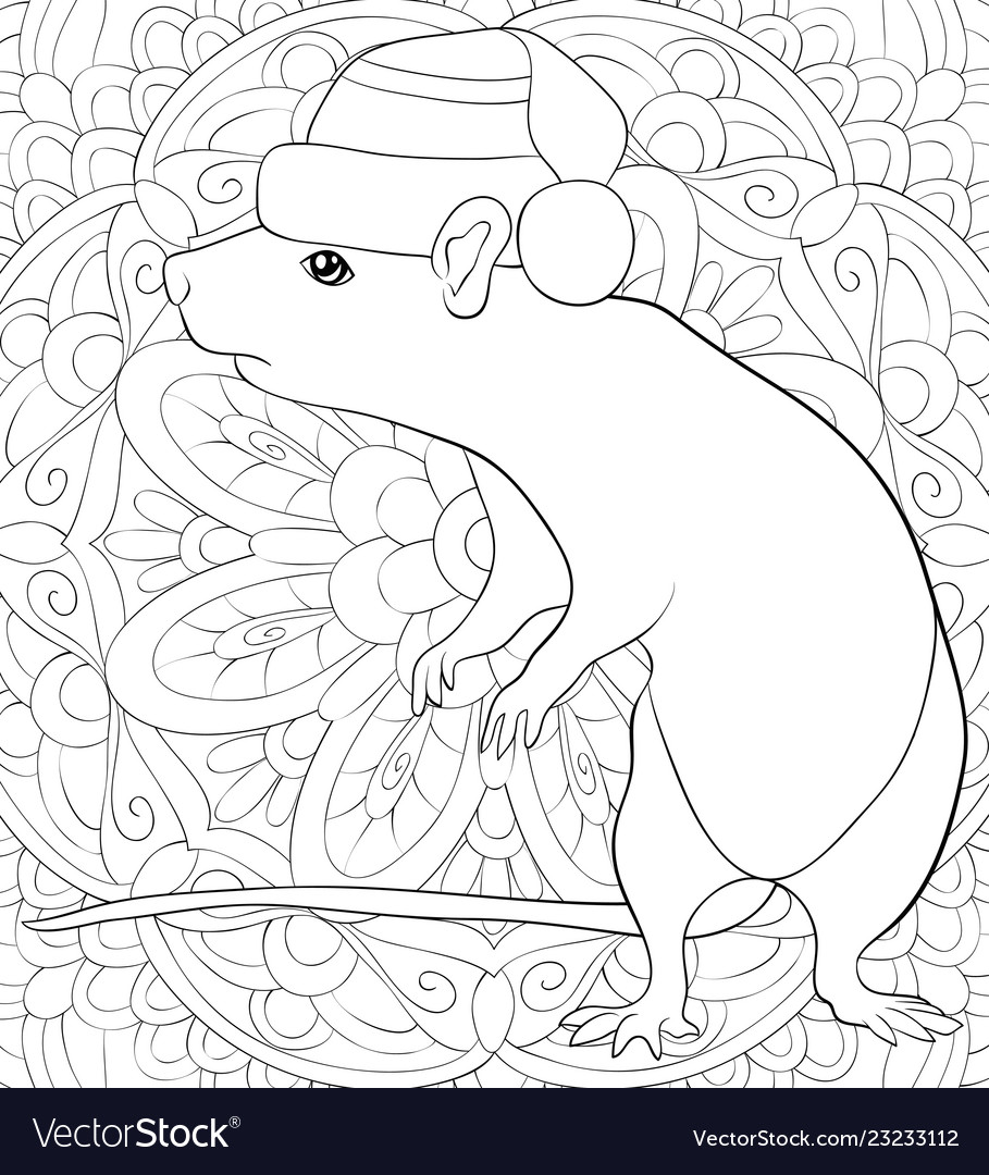 Adult coloring bookpage a cute rat Royalty Free Vector Image