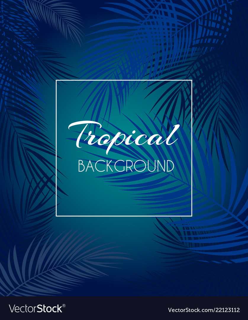 Beautiful palm leaf tropical background