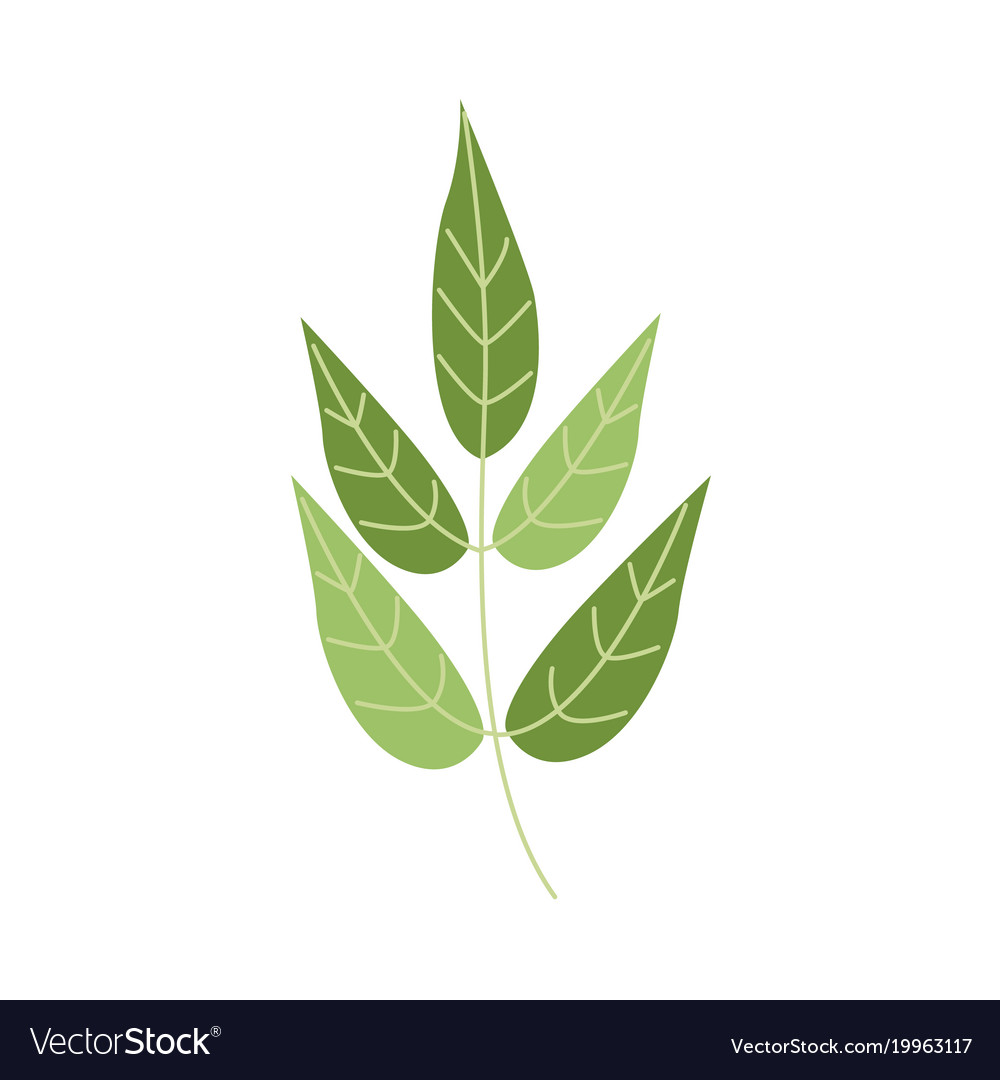 Flat abstract green plant icon