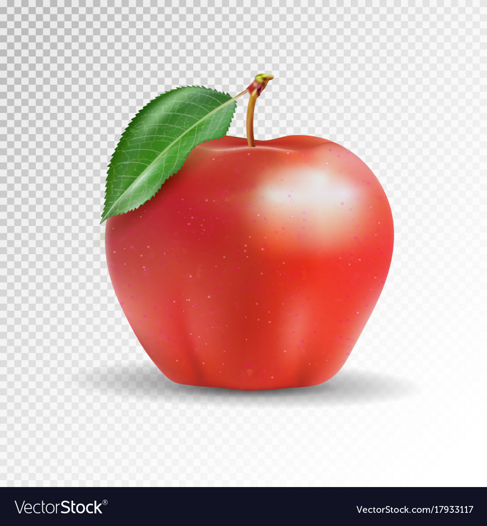 Red apple on transparent background 3d Royalty Free Vector