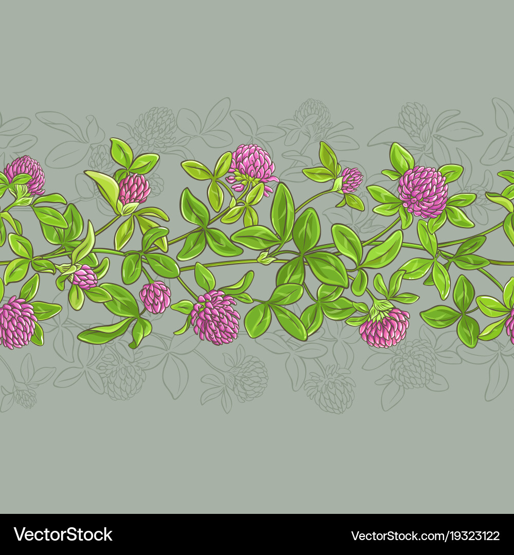 Clover pattern Royalty Free Vector Image - VectorStock