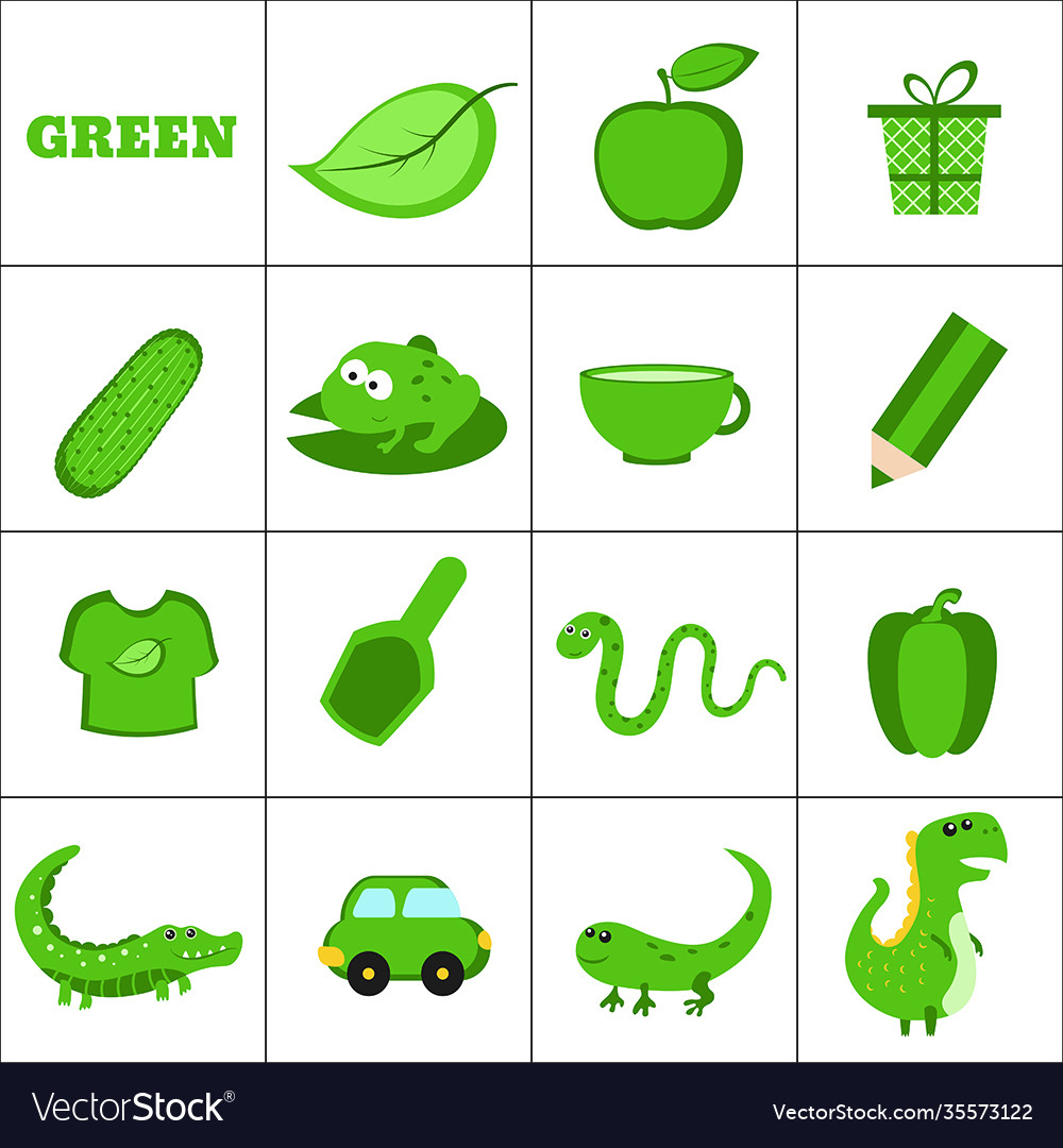 Learn color color Royalty Free Vector Image VectorStock