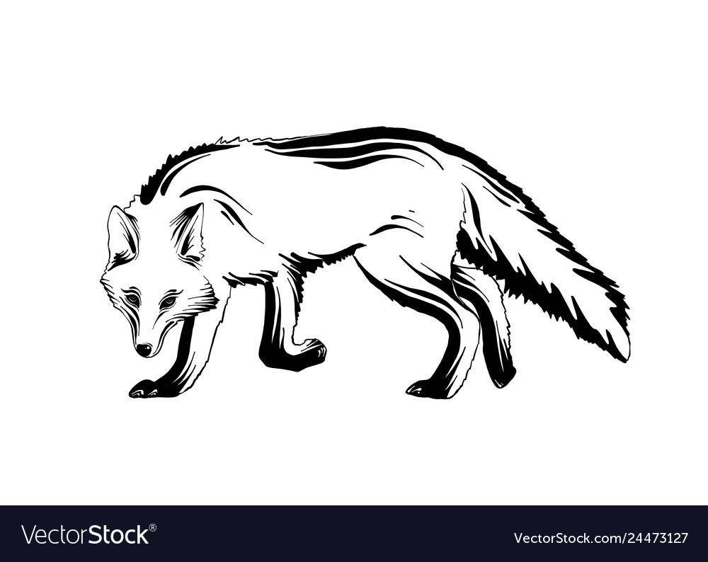 Engraved style for posters decoration and print vector image Engraved style for posters decoration and print