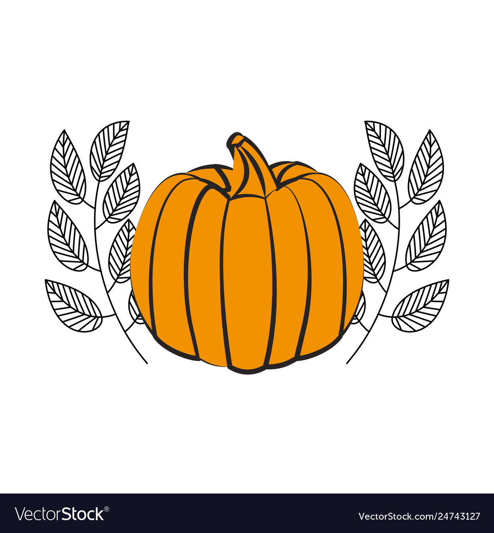 Fresh pumpkin leaves on white background