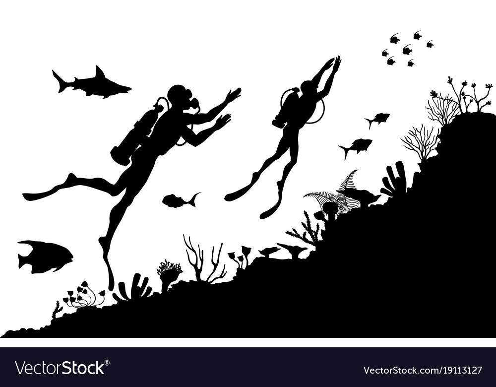 Silhouettes divers exploring underwater reef Vector Image
