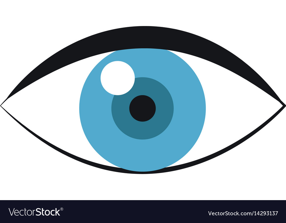 Eye icon image Royalty Free Vector Image - VectorStock