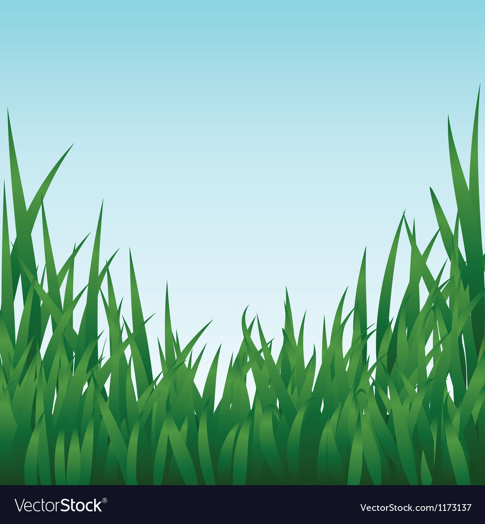 Green grass Royalty Free Vector Image - VectorStock