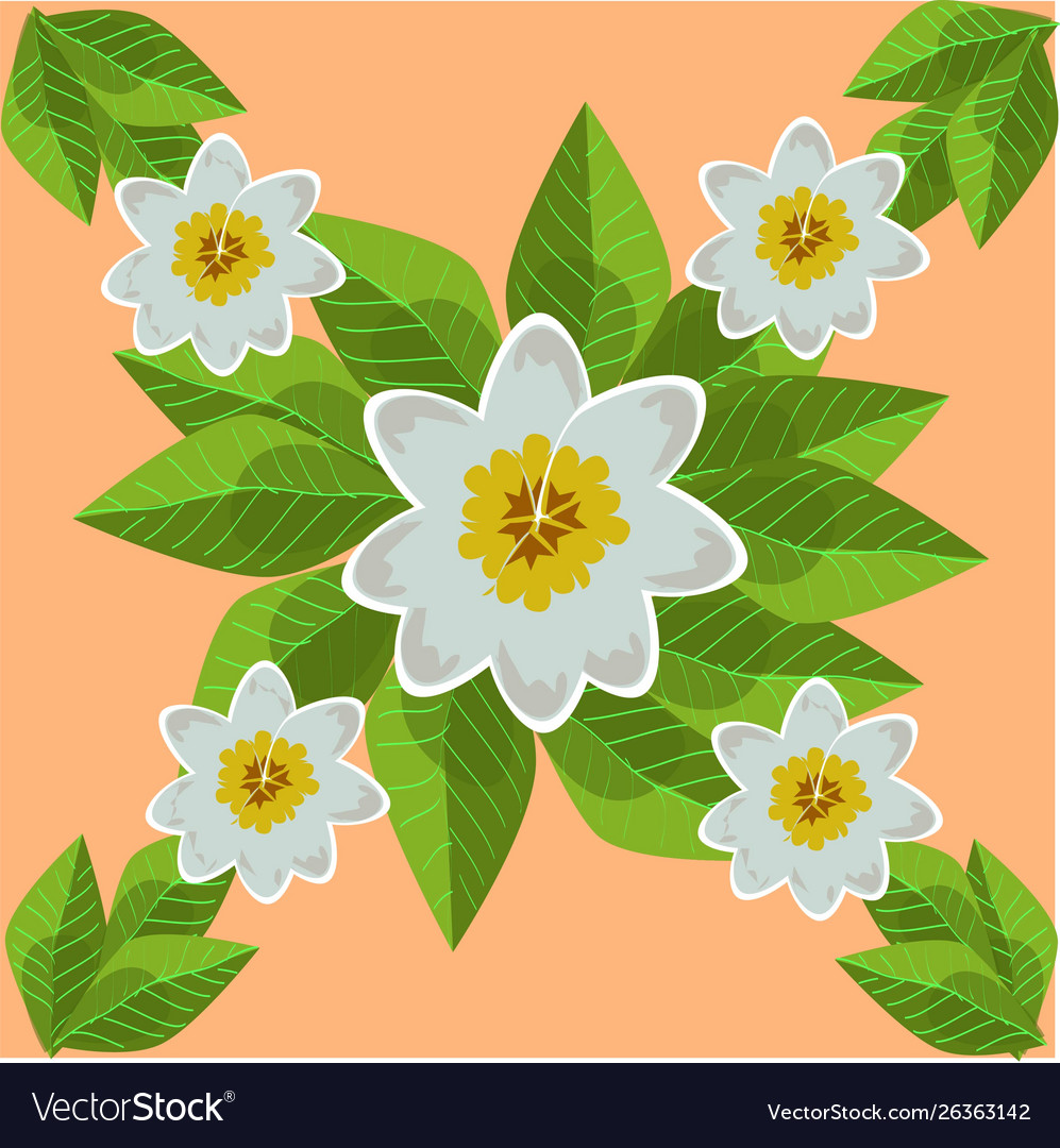 Frangipani flower seamless pattern Royalty Free Vector Image