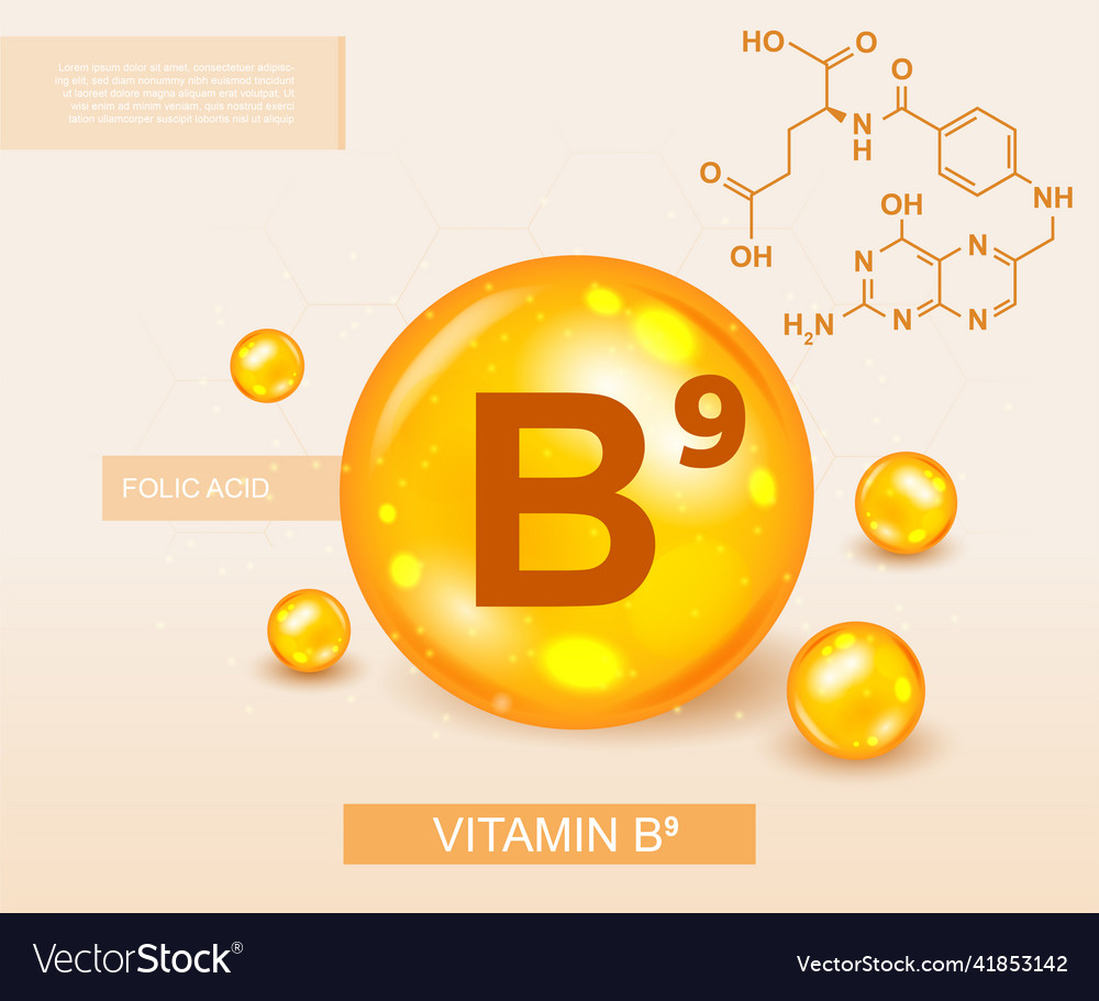 Vitamin b9 concept Royalty Free Vector Image - VectorStock