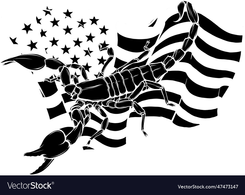 Black silhouette of scorpion with american flag Vector Image