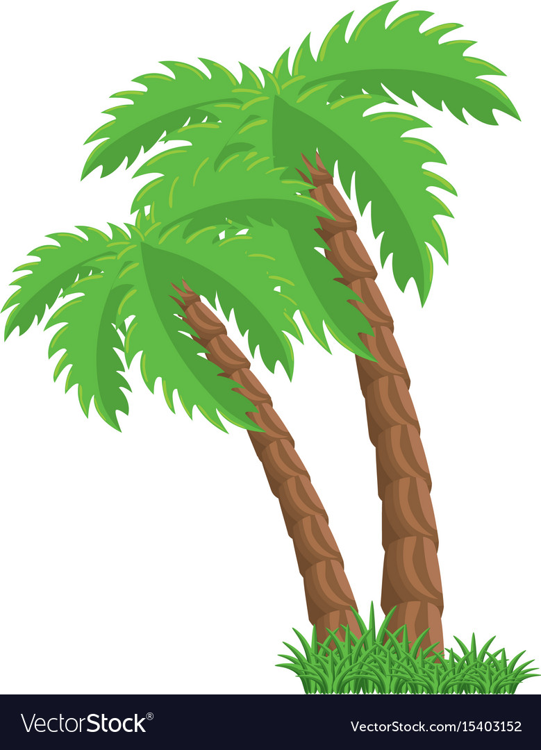 Isolated beach palm