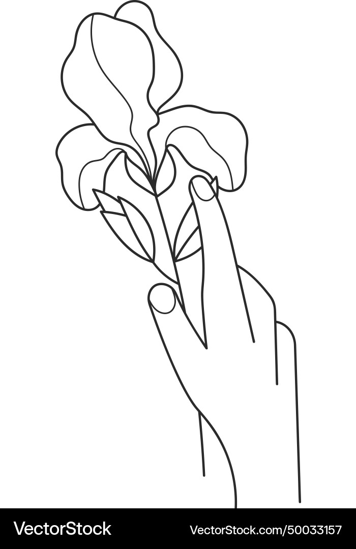 Hand holding flowers outline Royalty Free Vector Image