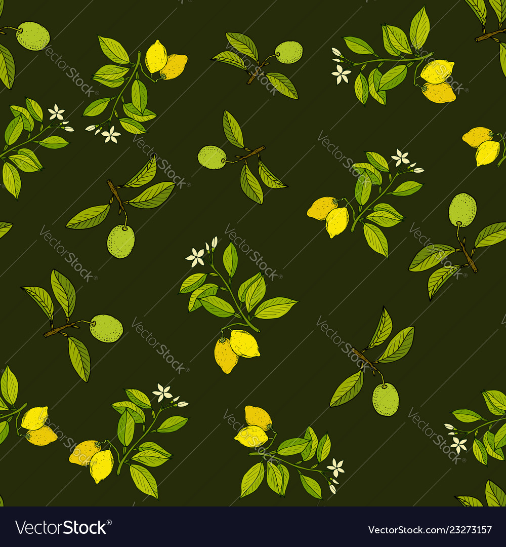 Lemon and lime branches seamless pattern