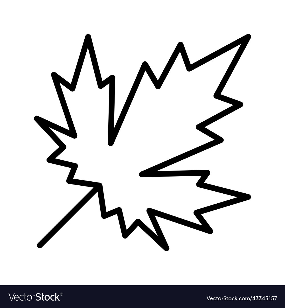 Maple leaf plant icon pictogram isolated