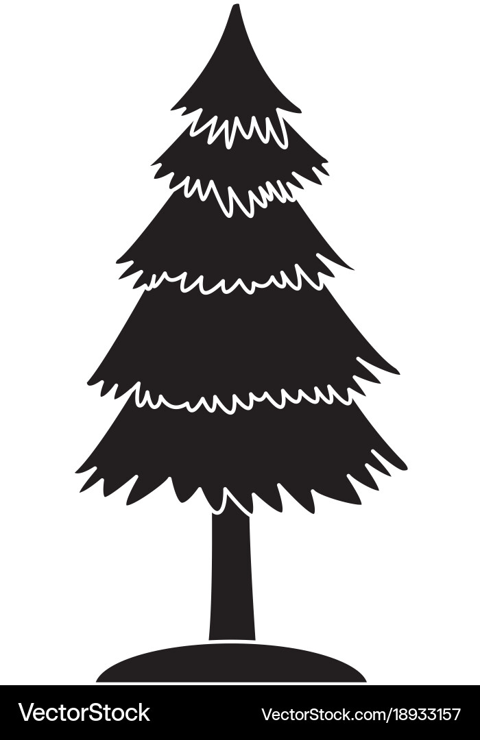 Tree pine isolated Royalty Free Vector Image - VectorStock
