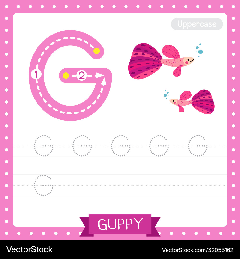 Letter g uppercase tracing practice worksheet Vector Image