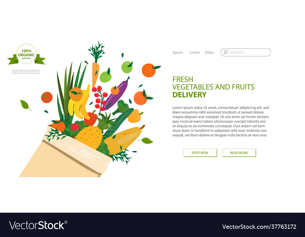 Web page design template for grocery store online Vector Image