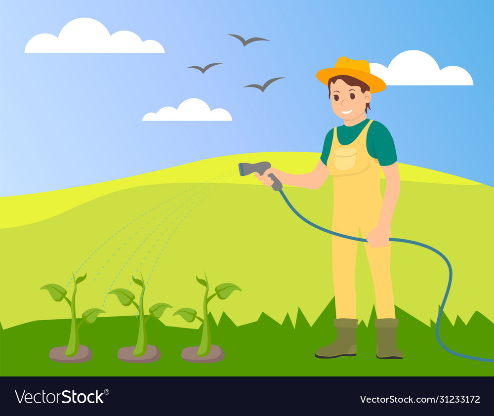 Woman farmer in uniform watering plants at the Vector Image