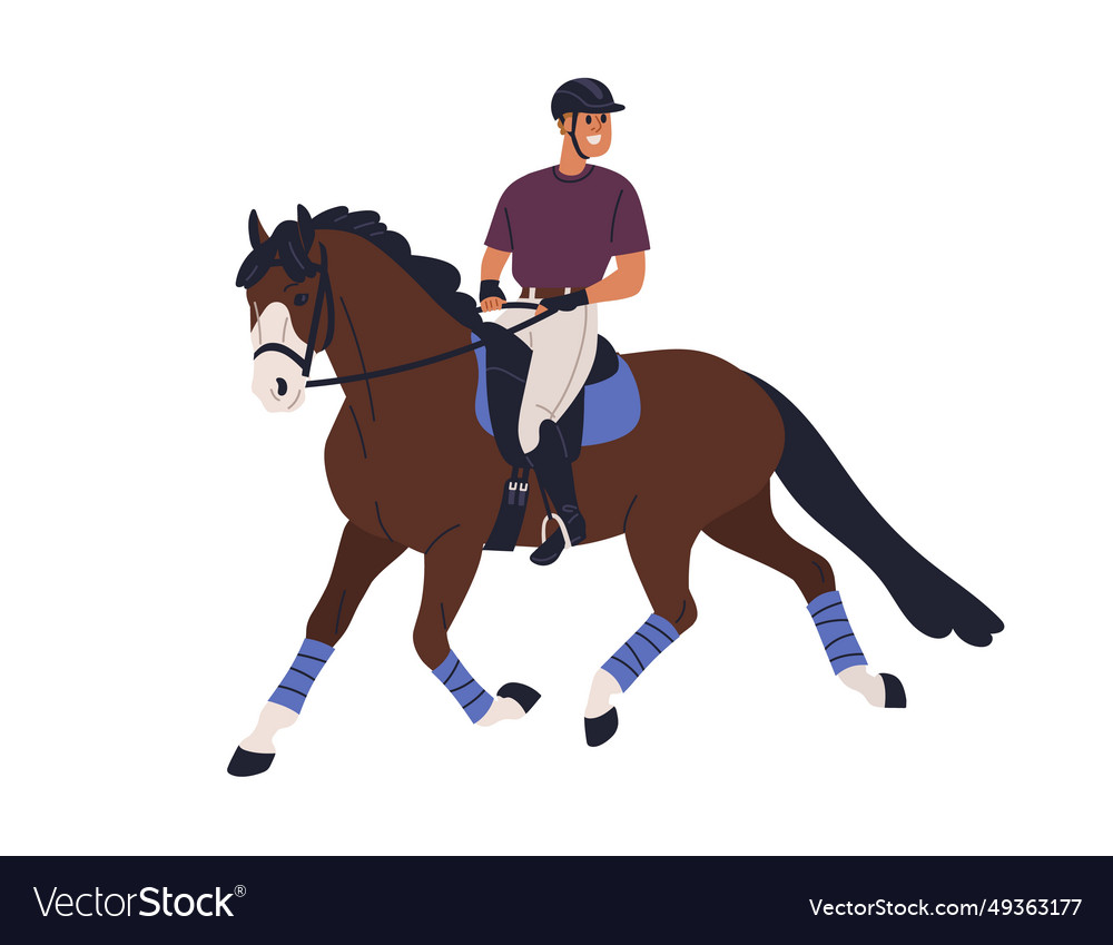 Horse riding happy horseman equestrian Royalty Free Vector