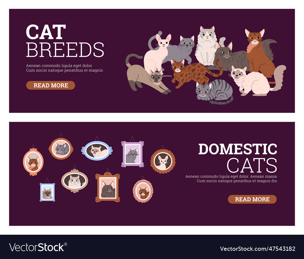 Set of website banner templates about various cat