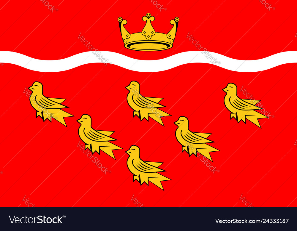 Flag of east sussex in england Royalty Free Vector Image