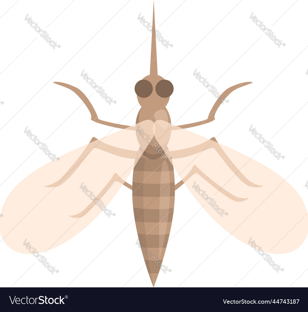 Mosquito insect icon cartoon dengue Royalty Free Vector