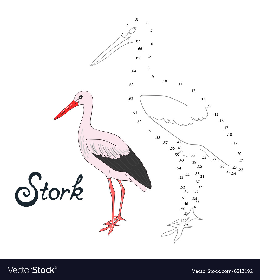 Educational game connect dots to draw stork bird Vector Image