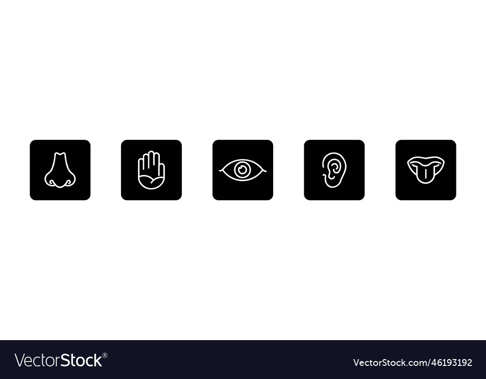 Human senses icon Royalty Free Vector Image - VectorStock