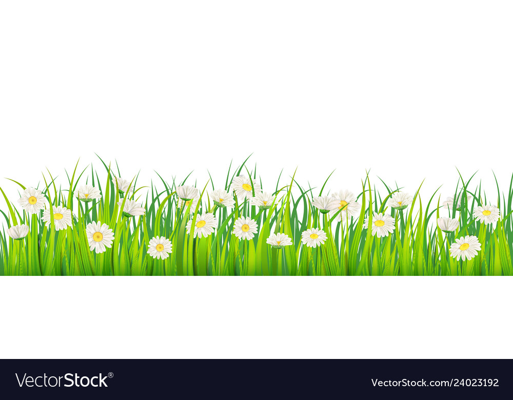 Template background spring field of flowers Vector Image