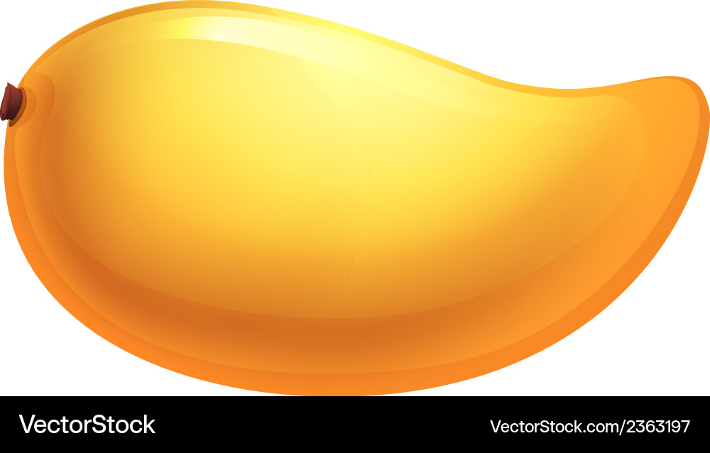 A ripe mango Royalty Free Vector Image - VectorStock