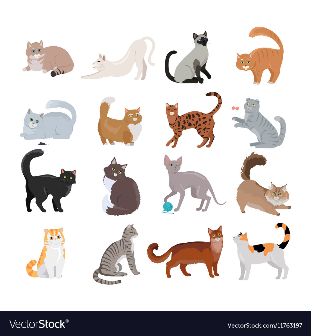 Cat icon set in flat style. vector illustration