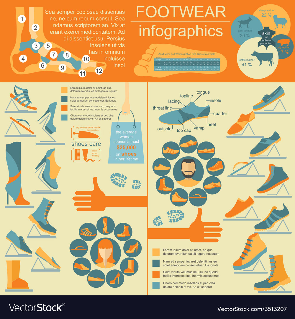 Footwear infographics elements easily edited