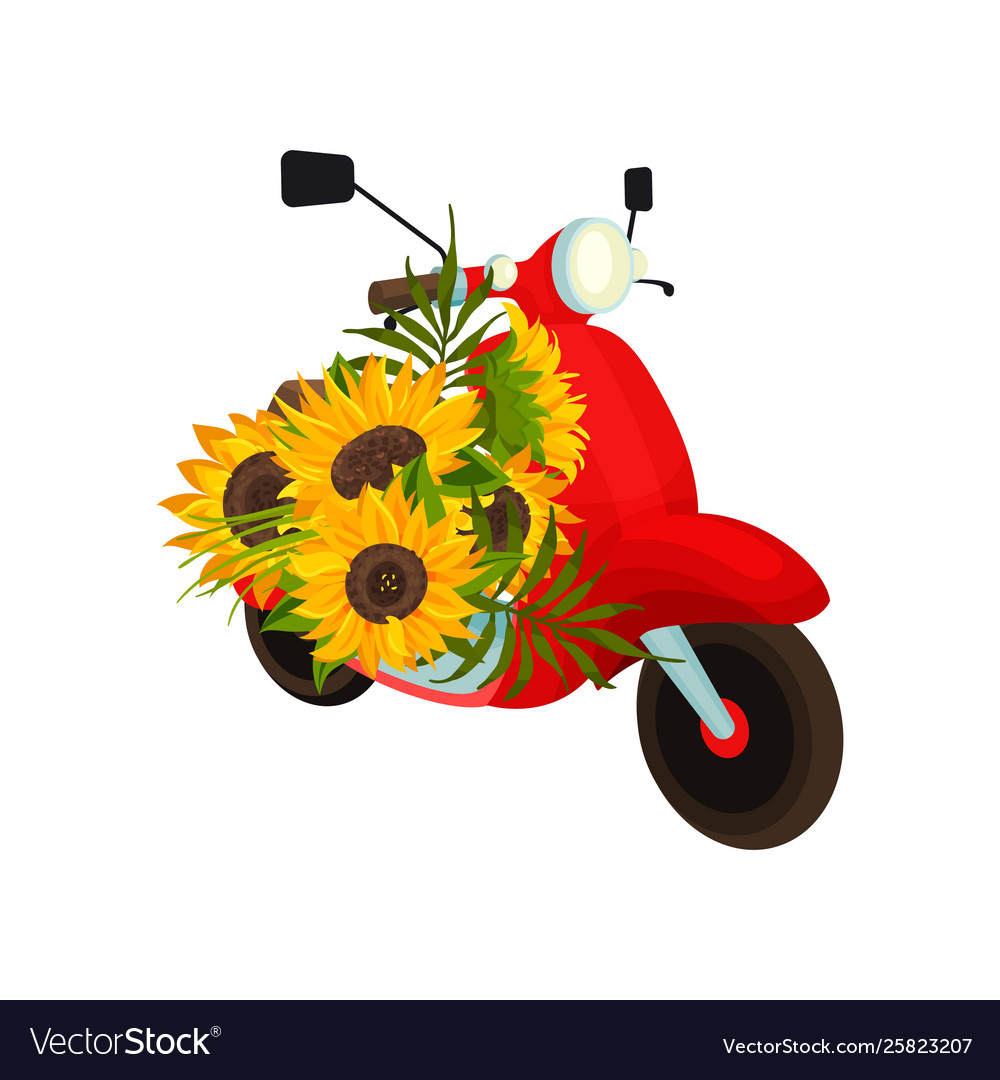 Red retro moped with sunflowers