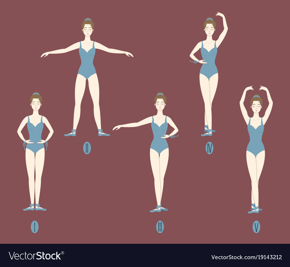 Girl dancer shows the five basic ballet positions Vector Image