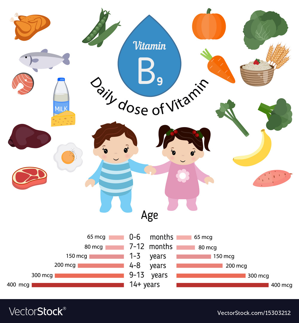 Vitamin B9 Or Folic Acid Infographic Royalty Free Vector