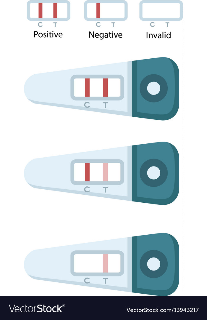 negative pregnancy test