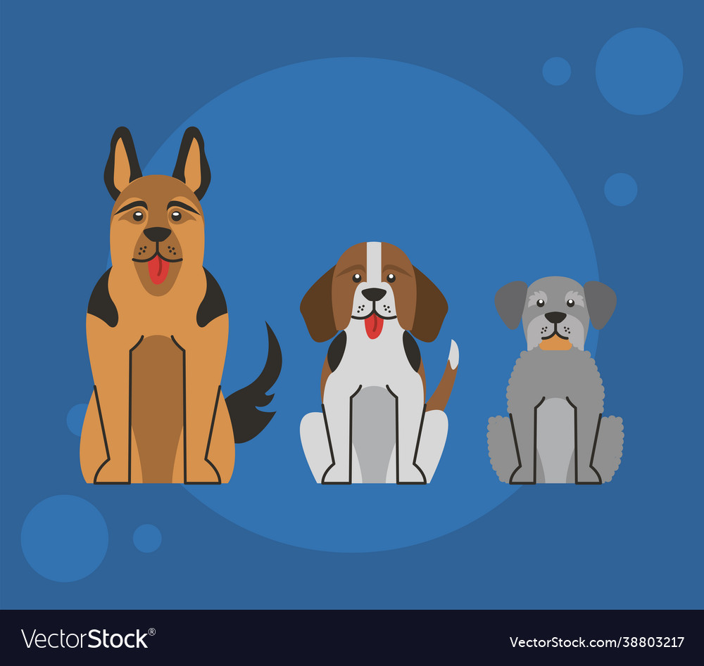 Three dogs characters Royalty Free Vector Image