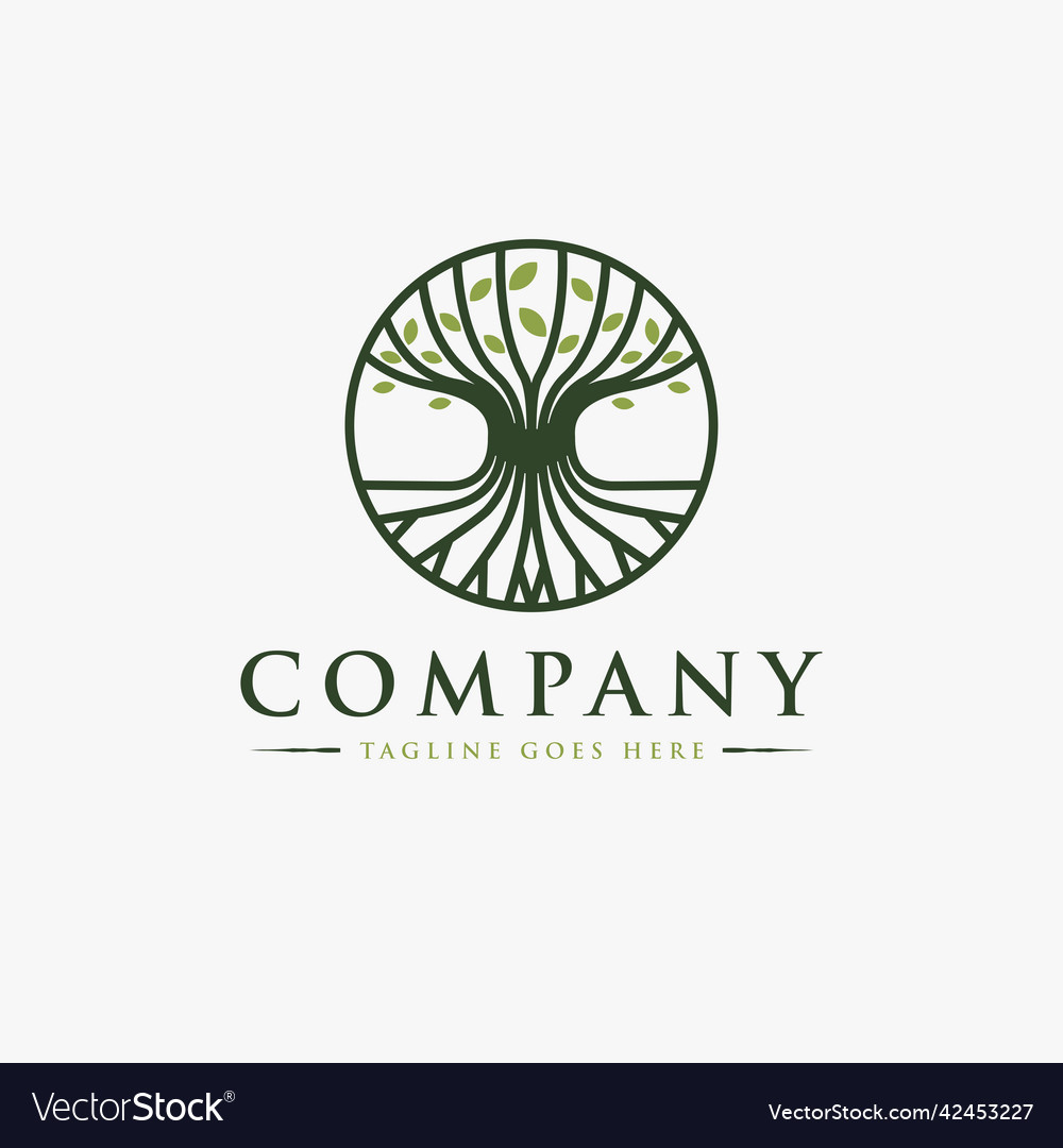 Abstract elegance root and tree logo icon vector image Abstract elegance root and tree logo icon